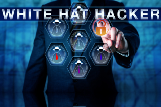 Hacker éthique ou White Hat Hacker 